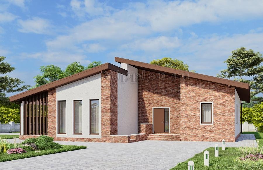 Одноэтажный дом с террасой и подвалом